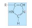 <p>name this functional group</p>