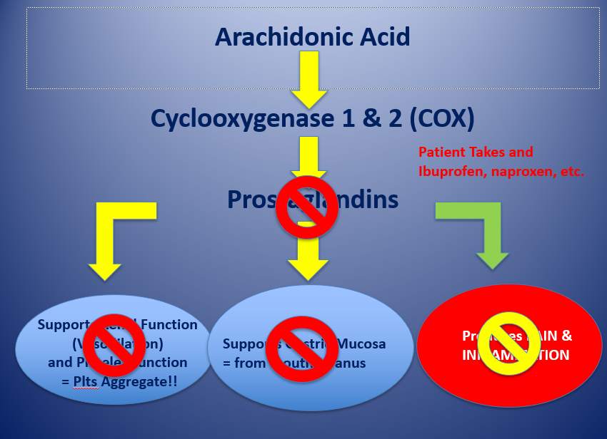 <ol><li><p>arachdonic acid </p><ol><li><p>releases cytokines</p></li></ol></li><li><p>cyclooxygenase 1 and 2 (COX)</p></li><li><p><strong>prostaglandins</strong></p><ol><li><p><strong>supports renal fxn (vasodilation) and platelet fxn = platelets aggregate</strong></p></li><li><p><strong>supports gastric mucosa = from mouth to anus</strong></p></li><li><p><strong>INDUCIBLE — produces pain and inflammation</strong></p></li></ol></li></ol><p><strong>= patient takes ibuprofen, naproxen, etc </strong></p>