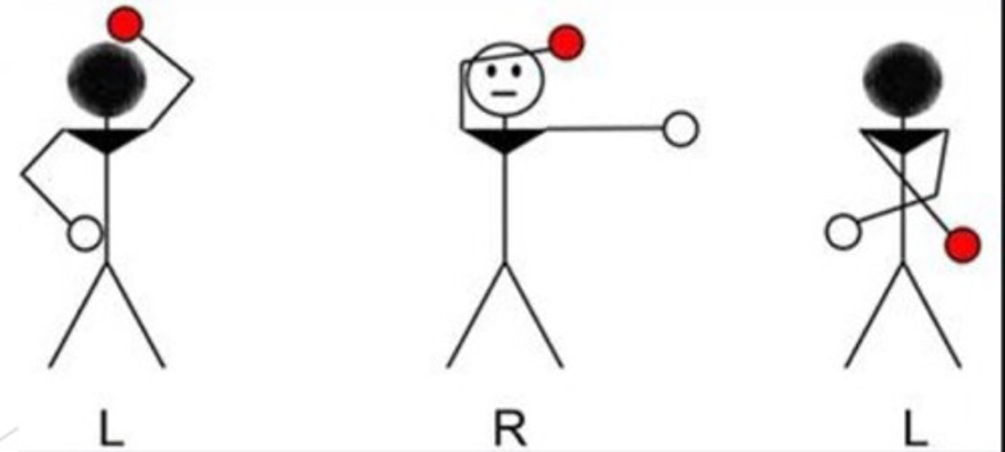 <p>Piaget Right-Left Awareness test</p>