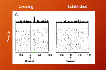 <p>spatial delayed response task results&nbsp;</p>