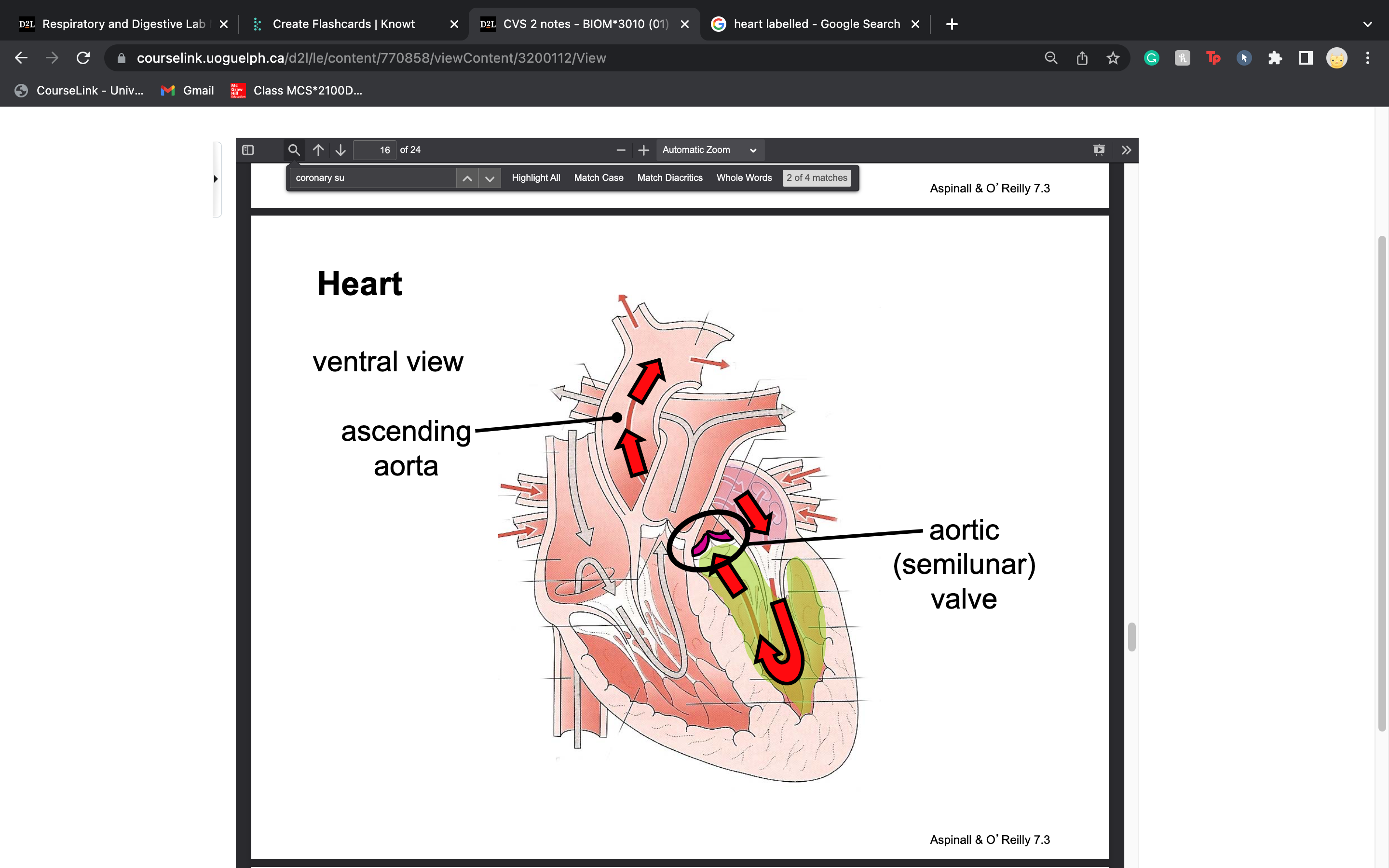 knowt flashcard image