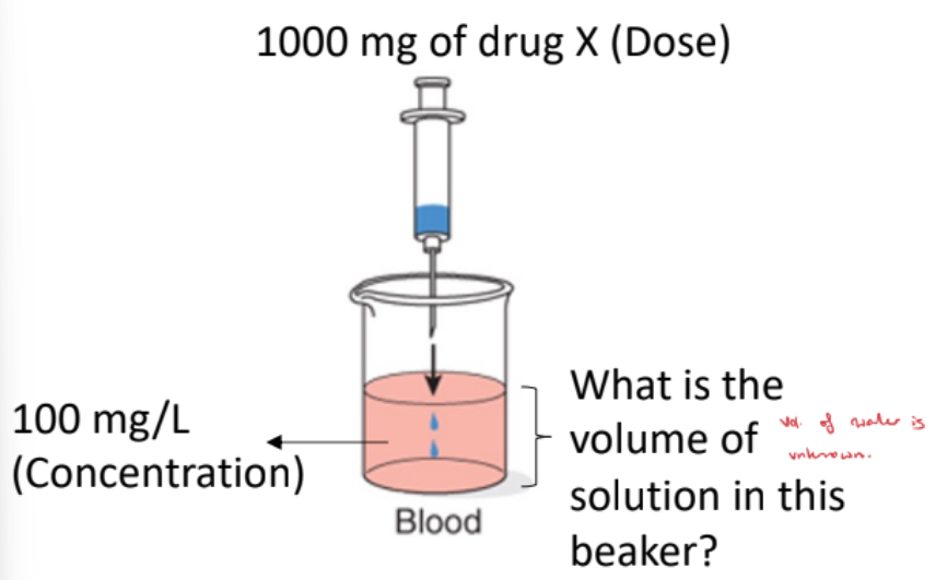 <ul><li><p>The volume of solution is unknown.</p></li><li><p>When you calculate the volume, it represents the amount of water the drug has distributed into.</p></li><li><p>This is the apparent volume, not the actual physical volume of the beaker.</p></li><li><p>It reflects how widely the drug has proliferated outside the blood.</p></li></ul><p></p>