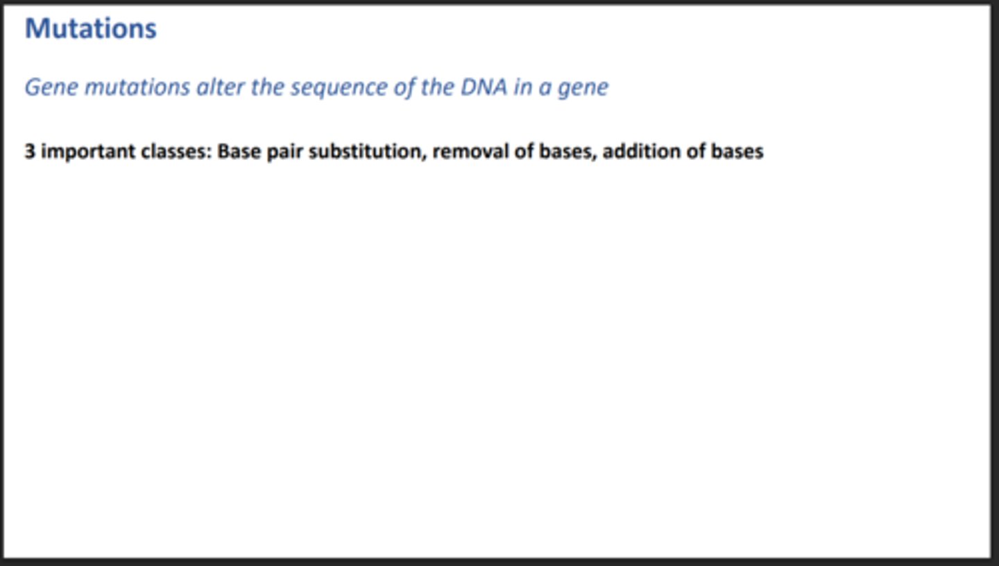 <p>Base pair substitution, removal of bases, addition of bases.</p>