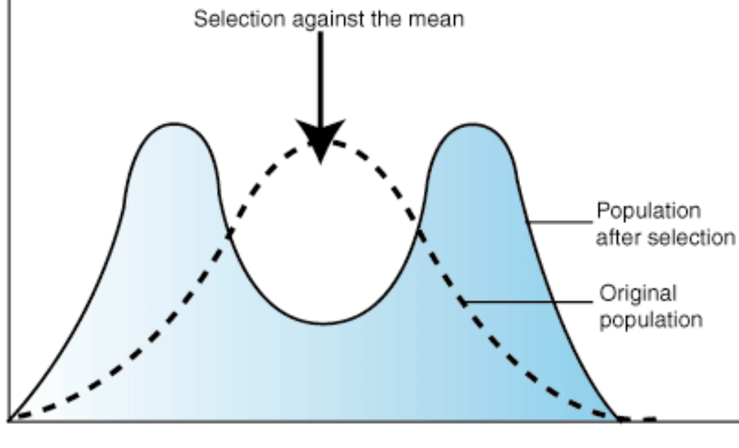 <p>Selection pressure against the mean, which favour the extreme characteristics of populations.</p>