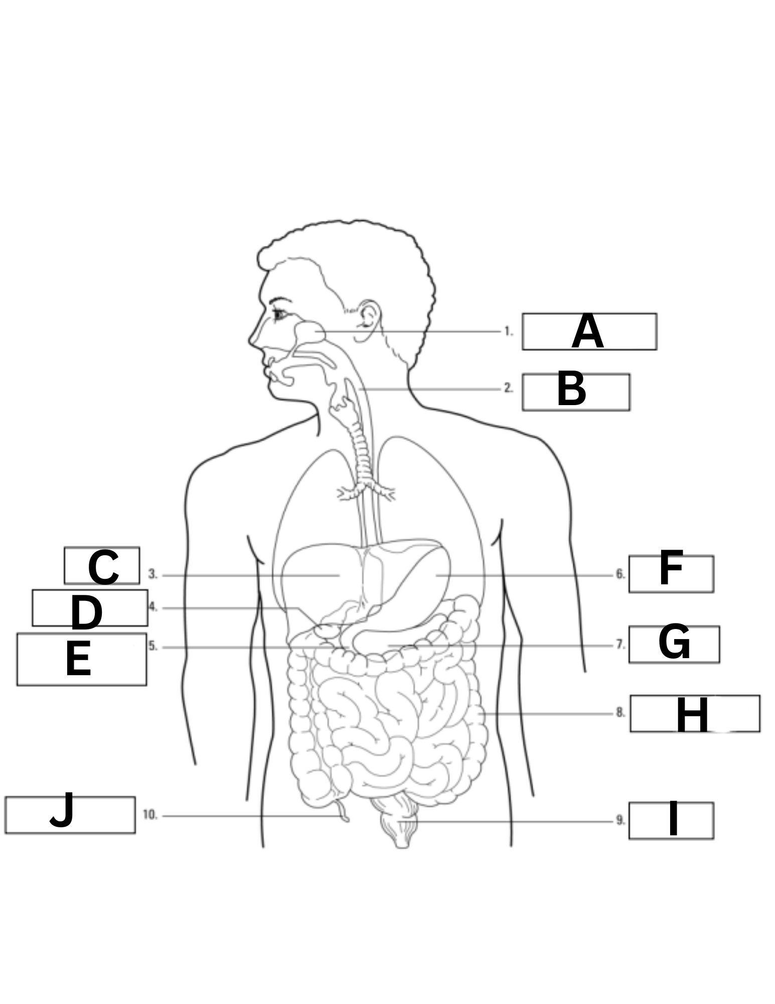<p>What is “H” is in the diagram?</p>