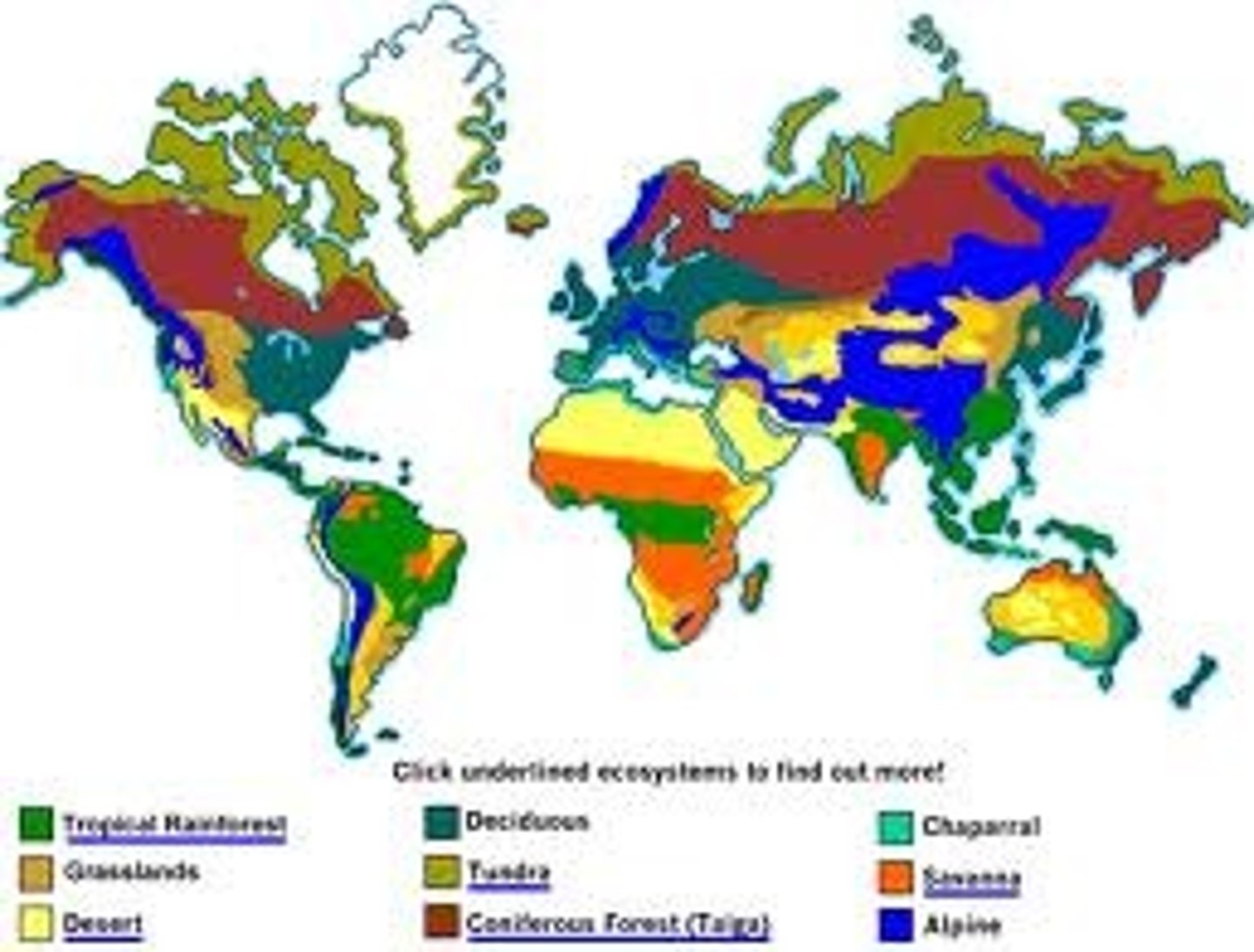 <p>A large region with a specific climate and types of plants and animals (e.g., desert, rainforest).</p>