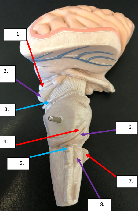 <p>what is the func of 7?</p>