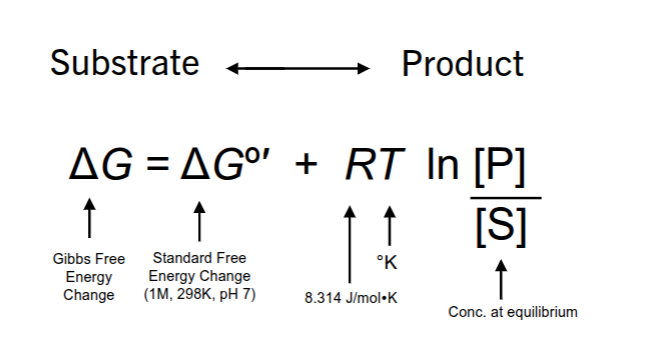 <p><span>ΔG = Δ</span><span style="color: rgb(255, 255, 255);"><span>G°′</span></span><span>+ RT ln([P]/[S])</span></p><p><span style="color: rgb(255, 248, 248);"><span>gibbs free energy change = standard free energy change +(8.314 J/mol*K)(temperature)(ln conc. at equillibrium)</span></span></p>
