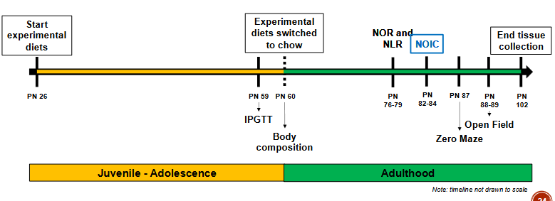 <p><span>• Male Sprague Dawley rats with early life diet exposure:</span><br><span>o Control group receiving AIN-93G unbaked diet (UNBAKED, n=24)</span><br><span>o Experimental group receiving AIN-93G baked diet (BAKED, n=12)</span></p>