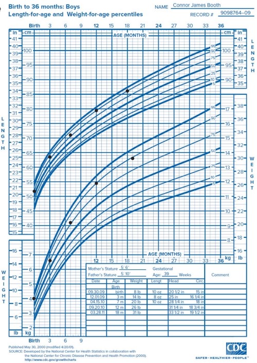 <p>In the graph pictured what is the weight per age percentile for Connor James Booth at 18 months?</p>