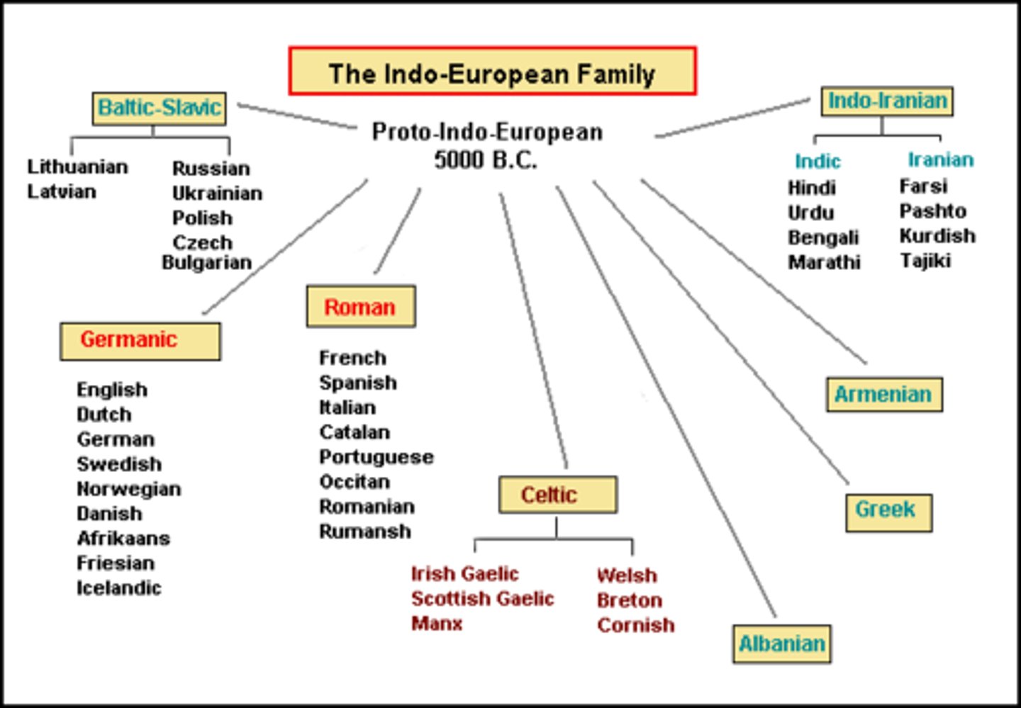 <p>world's most widely spoken language family, including English, Spanish, Hindi, and Russian</p>