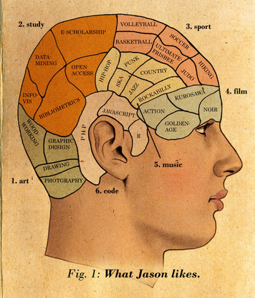 <p>The concept that different brain regions specialize in specific behaviors</p>