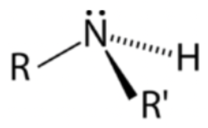 <p>Nitrogen atom bonded to two R groups and one hydrogen</p>