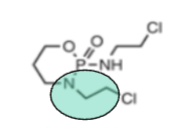 <p>Based off the functional group (green), what is the drug class?</p>
