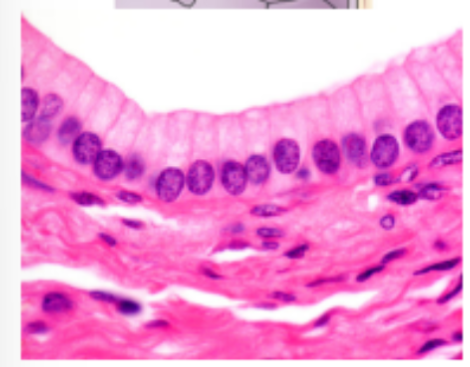 <p>What is this?</p>