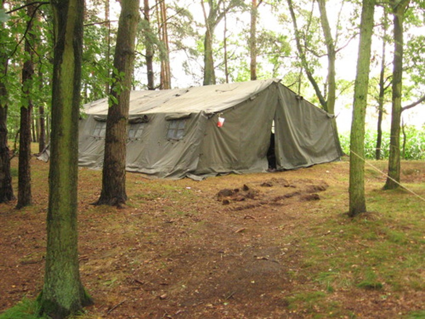 <p>tent</p>