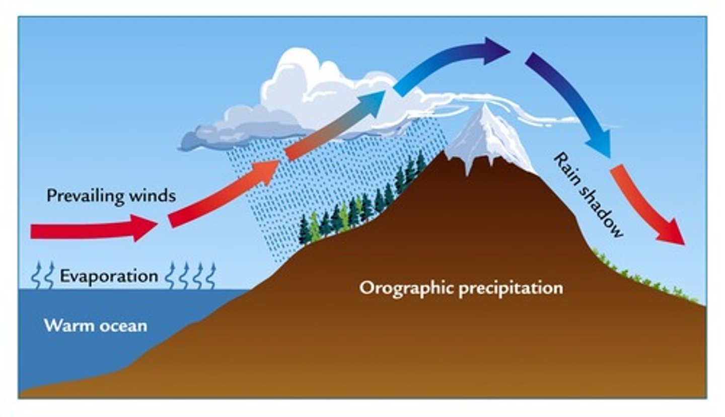 <p>The movement of air masses forced to flow over high topography (land). Moist air comes off the ocean as coastal fog (oceanic water vapor turned into clouds) and is lifted over mountains</p><p>cooling effect that occurs when air is forced to rise over a mountain, resulting in a wetter windward side and a drier leeward side</p>