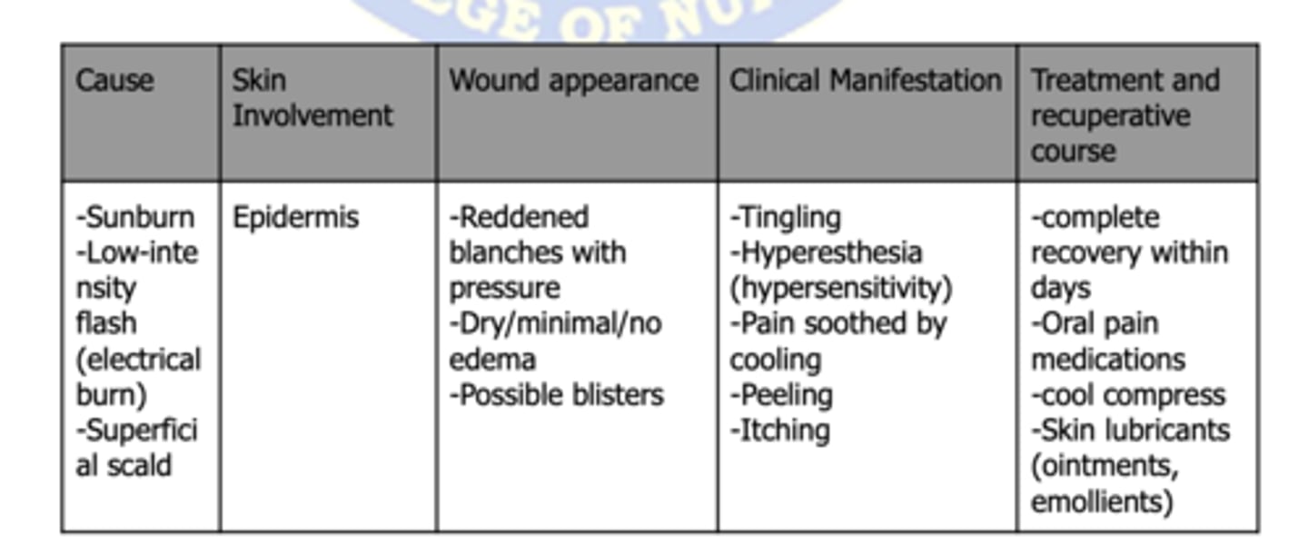 <p>First-degree burns</p>