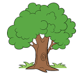 <p>The description of an object</p><p></p><p>If lightning strikes the tree will burn</p><p>The tree is 5 m high<br>The tree is GREEN)</p>