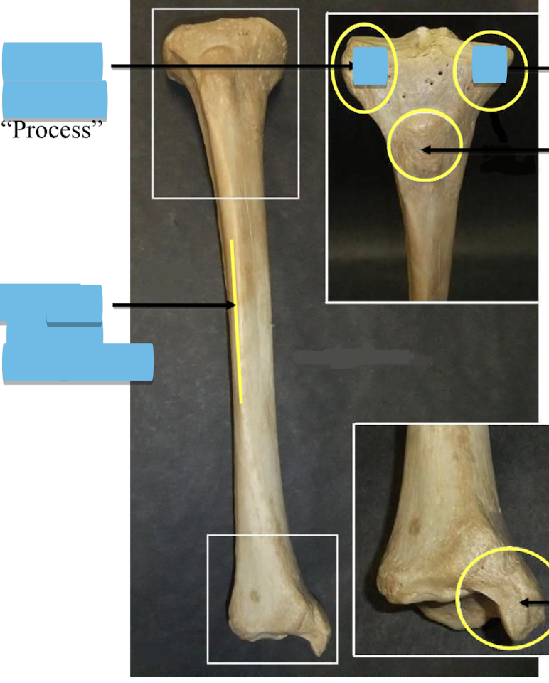 <p>Name the process </p>