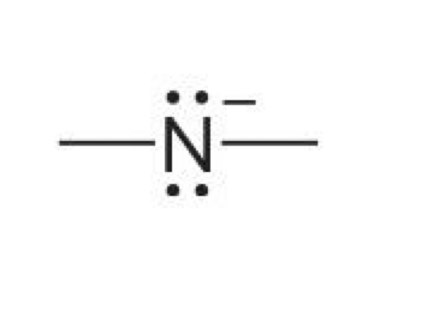 <p>Nitrogen with two lone pairs and two bonds </p>