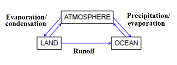 <ul><li><p><strong>Def</strong>: descriptions of the processes linking the components of your system</p></li></ul><p></p>