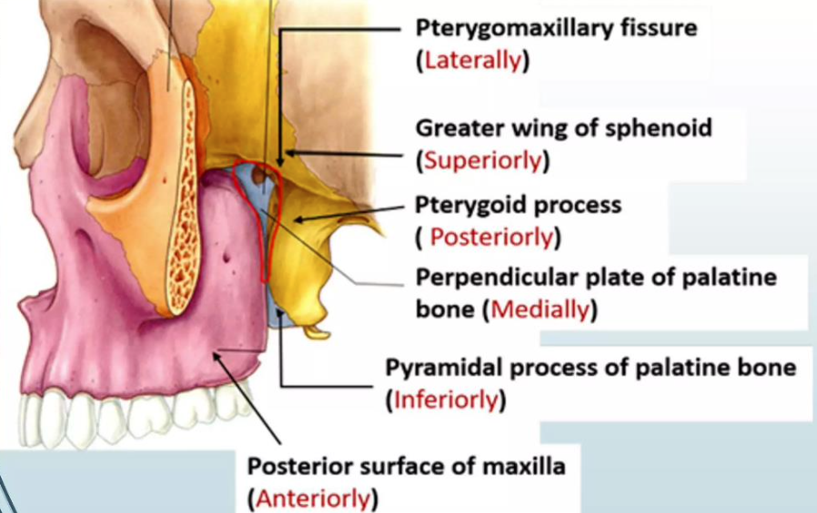<p><strong>Medial</strong> boundary of pterygopalatine fossa</p>