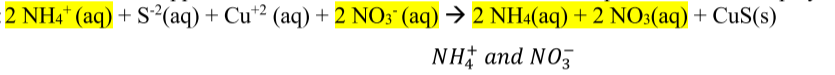 <p>Ions that stay the same on both sides of the complete ionic equation. These play no direct role in the reaction.</p>