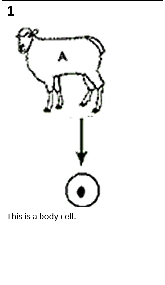 <p>What step is this </p>