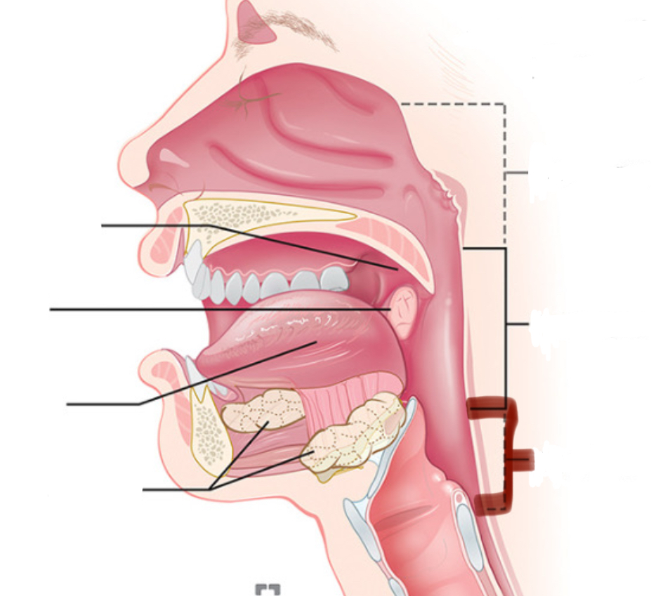 <p>Wat word hier aangeduid</p>