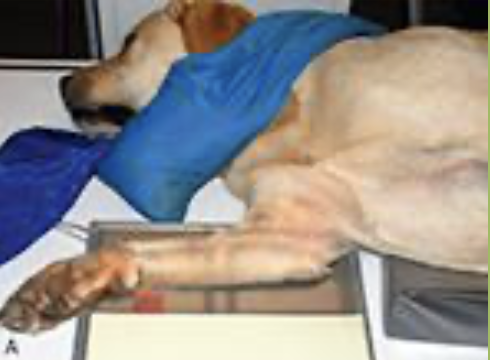 <p>What’s this position?</p>
