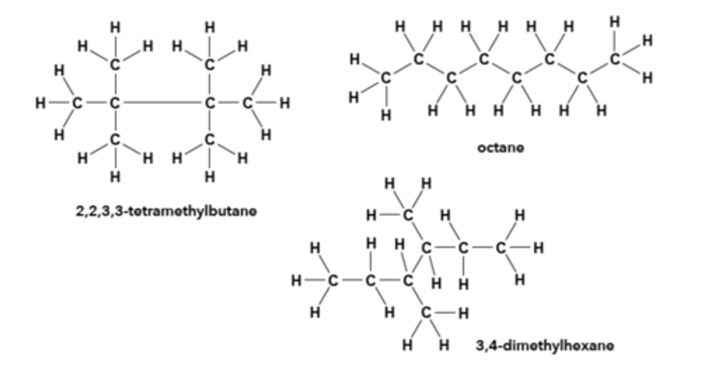 <p>Top left</p><p>Bottom</p><p>Top right</p>