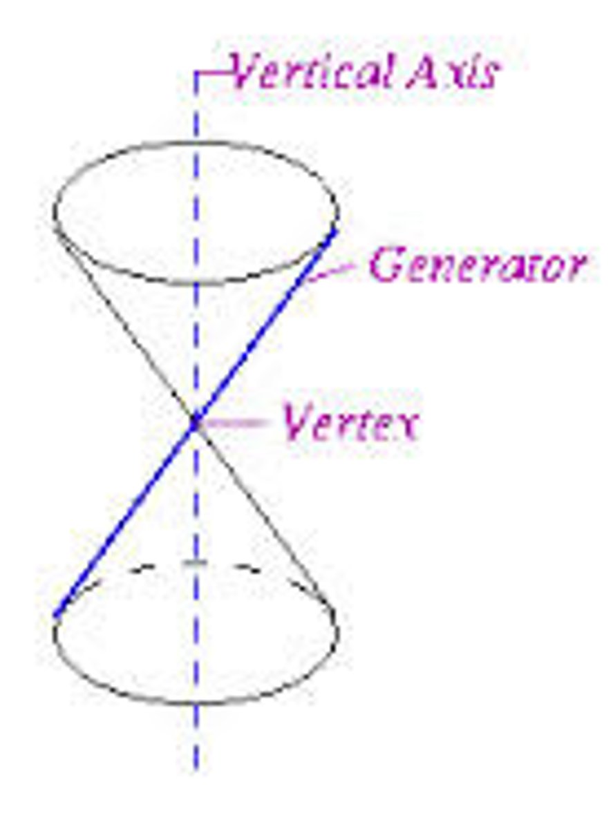<p>line lying entirely on the cone</p>