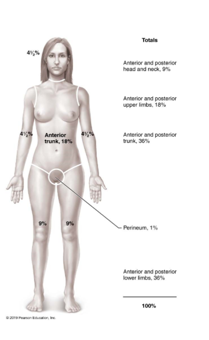 <ul><li><p>Used to estimate volume of fluid loss</p></li><li><p>Body is broken into 11 sections, with each section representing 9% of body surface (except genitals, which account for 1%)</p></li><li><p>Ex: 41/2% means that amount of fluid is lost in that area and must be restored </p></li></ul><p></p>
