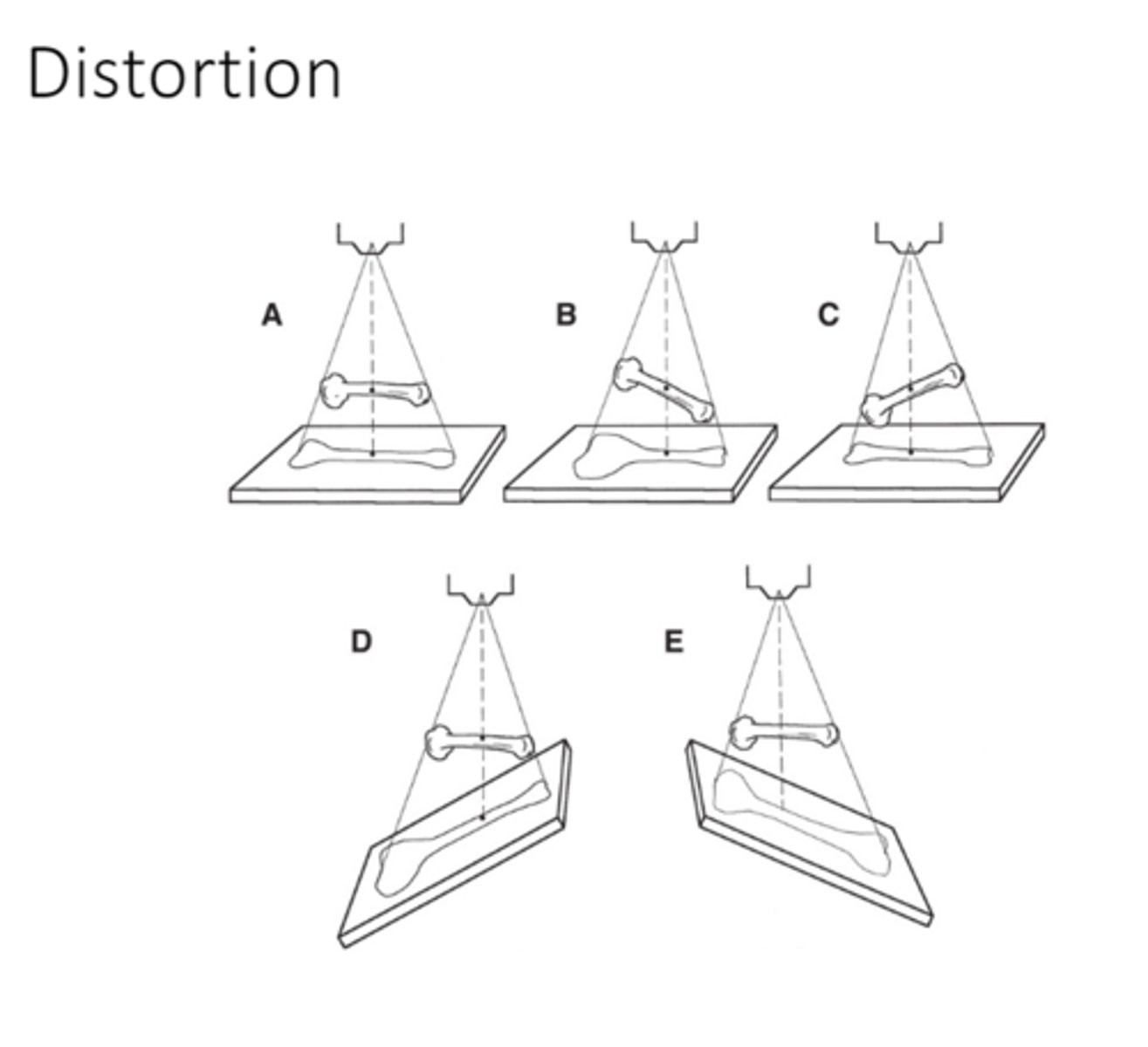 <p>more distortion and magnification</p><p>(flashlight example)</p><p>(the image can look bigger if its closer to the beam and the farther away it is to the image receptor, the image will be closer to the actual size)</p>