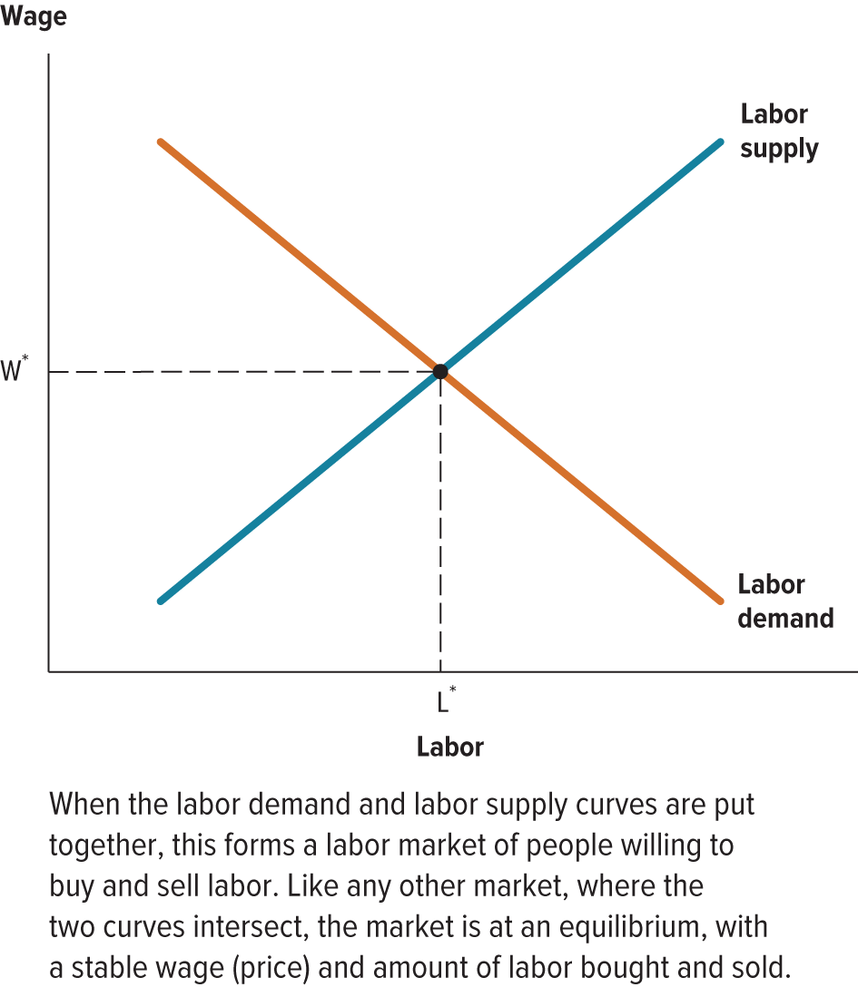 <p>Equilibrium in the Labor Market </p>