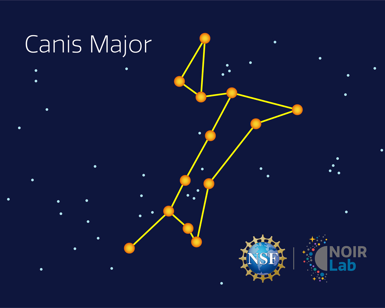 <p>Canis Major</p>