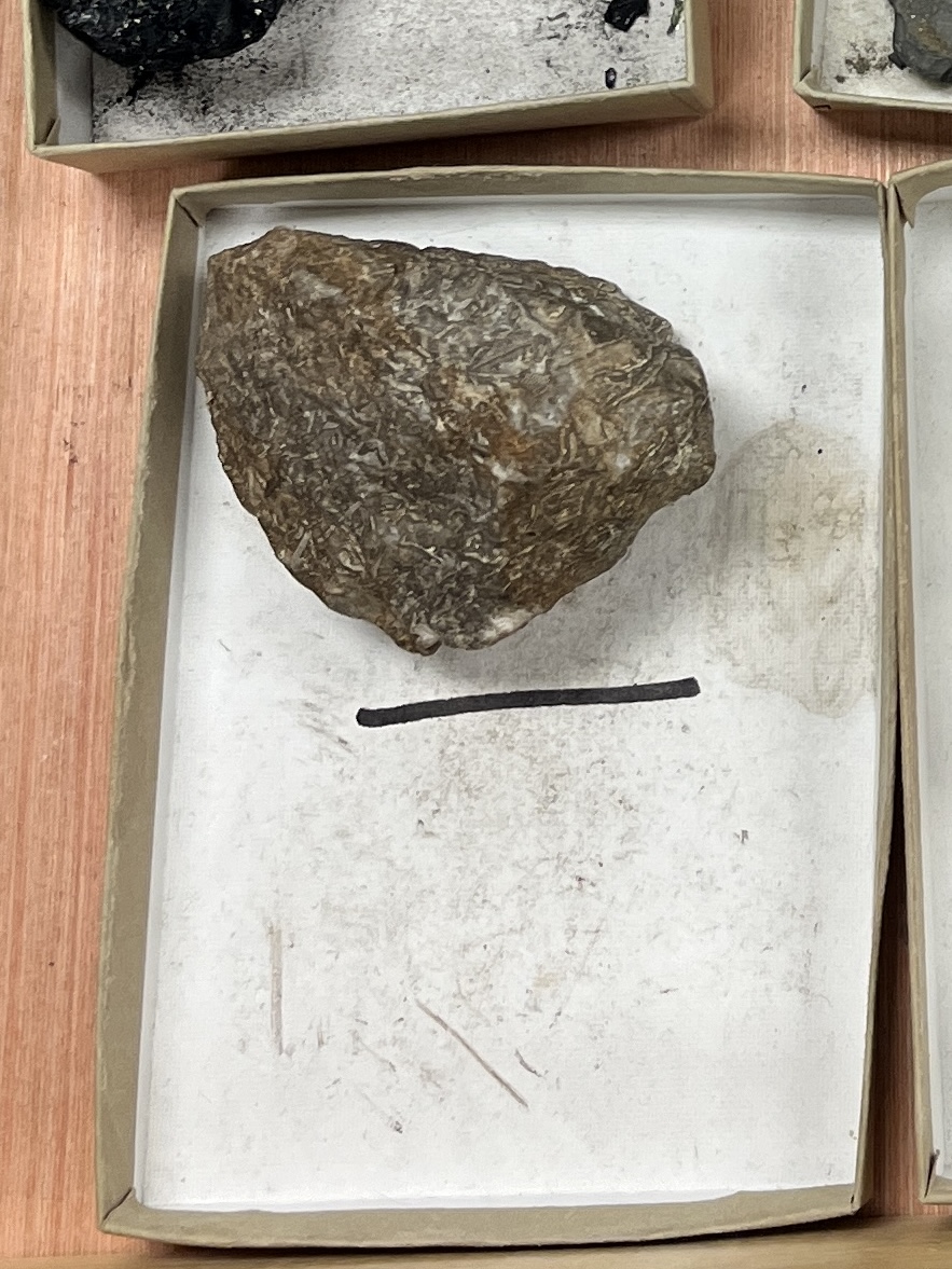 <p>Fossiliferous limestone</p>