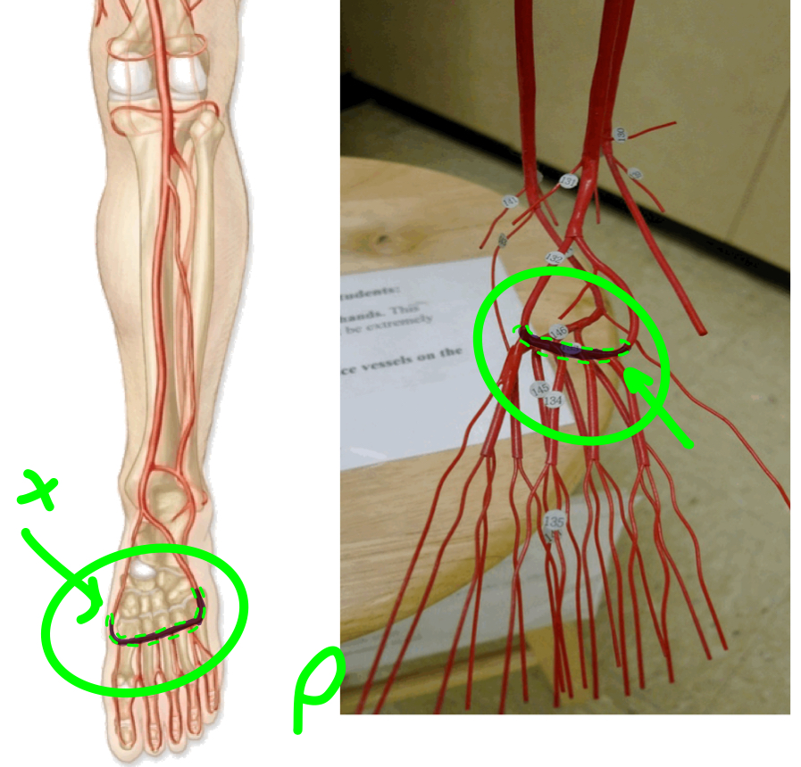 <p>what is pictured?</p>