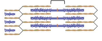 <p><span style="background-color: transparent;"><strong><span>H zone</span></strong></span></p>