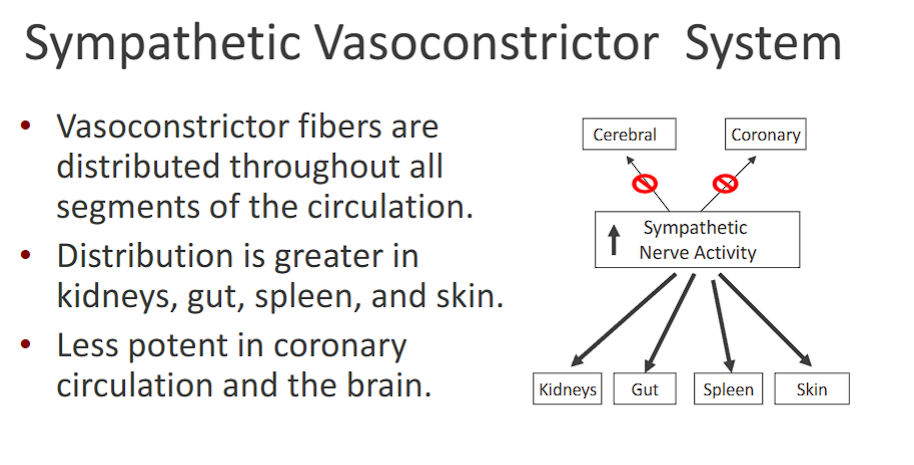 <p>remember, the sympathetic vasoconstrictor system constricts blood vessels to shunt blood to other places.&nbsp;</p><p>therefore, the sympathetic vasoconstrictor system would be in the <strong>kidneys, gut, spleen, skin</strong> (areas that don’t need as much blood when undergoing the fight or flight mode).&nbsp;</p><table style="min-width: 100px;"><colgroup><col style="min-width: 25px;"><col style="min-width: 25px;"><col style="min-width: 25px;"><col style="min-width: 25px;"></colgroup><tbody><tr><th colspan="1" rowspan="1" style="border-bottom: 1.06667px solid rgba(0, 0, 0, 0.12); font: 500 15px / 25px quote-cjk-patch, Inter, system-ui, -apple-system, BlinkMacSystemFont, &quot;Segoe UI&quot;, Roboto, Oxygen, Ubuntu, Cantarell, &quot;Open Sans&quot;, &quot;Helvetica Neue&quot;, sans-serif; border-top: none; padding: 10px 16px 10px 0px; text-align: left;"><p><strong><span>Receptor</span></strong></p></th><th colspan="1" rowspan="1" style="border-bottom: 1.06667px solid rgba(0, 0, 0, 0.12); font: 500 15px / 25px quote-cjk-patch, Inter, system-ui, -apple-system, BlinkMacSystemFont, &quot;Segoe UI&quot;, Roboto, Oxygen, Ubuntu, Cantarell, &quot;Open Sans&quot;, &quot;Helvetica Neue&quot;, sans-serif; border-top: none; padding: 10px 16px; text-align: left;"><p><strong><span>Primary Effect on Vessels</span></strong></p></th><th colspan="1" rowspan="1" style="border-bottom: 1.06667px solid rgba(0, 0, 0, 0.12); font: 500 15px / 25px quote-cjk-patch, Inter, system-ui, -apple-system, BlinkMacSystemFont, &quot;Segoe UI&quot;, Roboto, Oxygen, Ubuntu, Cantarell, &quot;Open Sans&quot;, &quot;Helvetica Neue&quot;, sans-serif; border-top: none; padding: 10px 16px; text-align: left;"><p><strong><span>Key Locations</span></strong></p></th><th colspan="1" rowspan="1" style="border-bottom: 1.06667px solid rgba(0, 0, 0, 0.12); font: 500 15px / 25px quote-cjk-patch, Inter, system-ui, -apple-system, BlinkMacSystemFont, &quot;Segoe UI&quot;, Roboto, Oxygen, Ubuntu, Cantarell, &quot;Open Sans&quot;, &quot;Helvetica Neue&quot;, sans-serif; border-top: none; padding: 10px 16px; text-align: left;"><p><strong><span>Physiological Goal</span></strong></p></th></tr><tr><td colspan="1" rowspan="1" style="border-bottom: 1.06667px solid rgba(0, 0, 0, 0.1); font: 400 15px / 25px quote-cjk-patch, Inter, system-ui, -apple-system, BlinkMacSystemFont, &quot;Segoe UI&quot;, Roboto, Oxygen, Ubuntu, Cantarell, &quot;Open Sans&quot;, &quot;Helvetica Neue&quot;, sans-serif; min-width: 100px; max-width: max(30vw, 320px); padding: 10px 16px 10px 0px;"><p><strong><span>Beta-2 (β₂)</span></strong></p></td><td colspan="1" rowspan="1" style="border-bottom: 1.06667px solid rgba(0, 0, 0, 0.1); font: 400 15px / 25px quote-cjk-patch, Inter, system-ui, -apple-system, BlinkMacSystemFont, &quot;Segoe UI&quot;, Roboto, Oxygen, Ubuntu, Cantarell, &quot;Open Sans&quot;, &quot;Helvetica Neue&quot;, sans-serif; min-width: 100px; max-width: max(30vw, 320px); padding: 10px 16px;"><p><strong><span>Vasodilation (epinephrine)</span></strong></p></td><td colspan="1" rowspan="1" style="border-bottom: 1.06667px solid rgba(0, 0, 0, 0.1); font: 400 15px / 25px quote-cjk-patch, Inter, system-ui, -apple-system, BlinkMacSystemFont, &quot;Segoe UI&quot;, Roboto, Oxygen, Ubuntu, Cantarell, &quot;Open Sans&quot;, &quot;Helvetica Neue&quot;, sans-serif; min-width: 100px; max-width: max(30vw, 320px); padding: 10px 16px;"><p><span>Skeletal Muscle, Liver, Heart</span></p></td><td colspan="1" rowspan="1" style="border-bottom: 1.06667px solid rgba(0, 0, 0, 0.1); font: 400 15px / 25px quote-cjk-patch, Inter, system-ui, -apple-system, BlinkMacSystemFont, &quot;Segoe UI&quot;, Roboto, Oxygen, Ubuntu, Cantarell, &quot;Open Sans&quot;, &quot;Helvetica Neue&quot;, sans-serif; min-width: 100px; max-width: max(30vw, 320px); padding: 10px 0px 10px 16px;"><p><span>Increase blood flow to active tissues.</span></p></td></tr><tr><td colspan="1" rowspan="1" style="border-bottom: 1.06667px solid rgba(0, 0, 0, 0.1); font: 400 15px / 25px quote-cjk-patch, Inter, system-ui, -apple-system, BlinkMacSystemFont, &quot;Segoe UI&quot;, Roboto, Oxygen, Ubuntu, Cantarell, &quot;Open Sans&quot;, &quot;Helvetica Neue&quot;, sans-serif; min-width: 100px; max-width: max(30vw, 320px); padding: 10px 16px 10px 0px;"><p><strong><span>Alpha-1 (α₁)</span></strong></p></td><td colspan="1" rowspan="1" style="border-bottom: 1.06667px solid rgba(0, 0, 0, 0.1); font: 400 15px / 25px quote-cjk-patch, Inter, system-ui, -apple-system, BlinkMacSystemFont, &quot;Segoe UI&quot;, Roboto, Oxygen, Ubuntu, Cantarell, &quot;Open Sans&quot;, &quot;Helvetica Neue&quot;, sans-serif; min-width: 100px; max-width: max(30vw, 320px); padding: 10px 16px;"><p><strong><span>Vasoconstriction (norepinephrine)</span></strong></p></td><td colspan="1" rowspan="1" style="border-bottom: 1.06667px solid rgba(0, 0, 0, 0.1); font: 400 15px / 25px quote-cjk-patch, Inter, system-ui, -apple-system, BlinkMacSystemFont, &quot;Segoe UI&quot;, Roboto, Oxygen, Ubuntu, Cantarell, &quot;Open Sans&quot;, &quot;Helvetica Neue&quot;, sans-serif; min-width: 100px; max-width: max(30vw, 320px); padding: 10px 16px;"><p><span>Skin, GI Tract, Kidneys, Splanchnic Circulation</span></p></td><td colspan="1" rowspan="1" style="border-bottom: 1.06667px solid rgba(0, 0, 0, 0.1); font: 400 15px / 25px quote-cjk-patch, Inter, system-ui, -apple-system, BlinkMacSystemFont, &quot;Segoe UI&quot;, Roboto, Oxygen, Ubuntu, Cantarell, &quot;Open Sans&quot;, &quot;Helvetica Neue&quot;, sans-serif; min-width: 100px; max-width: max(30vw, 320px); padding: 10px 0px 10px 16px;"><p><span>Increase blood pressure by raising SVR; shunt blood away from non-essential organs.</span></p></td></tr></tbody></table><p></p>