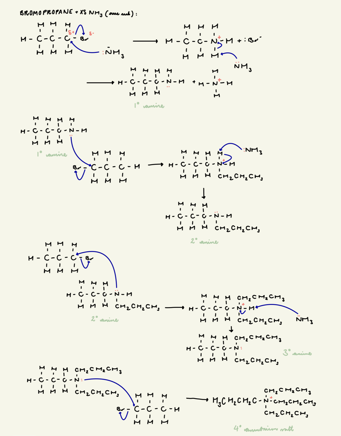 knowt flashcard image