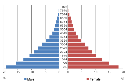 <p>if a population pryamid is a triangle shape, it is most likely a ______</p>