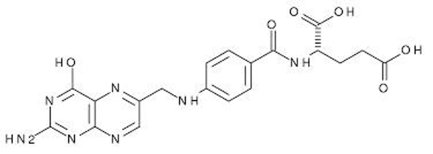 <p>Folate acts as a coenzyme that transports single carbon groups for amino acid metabolism and nucleic acid synthesis, vital for cell replication.</p>