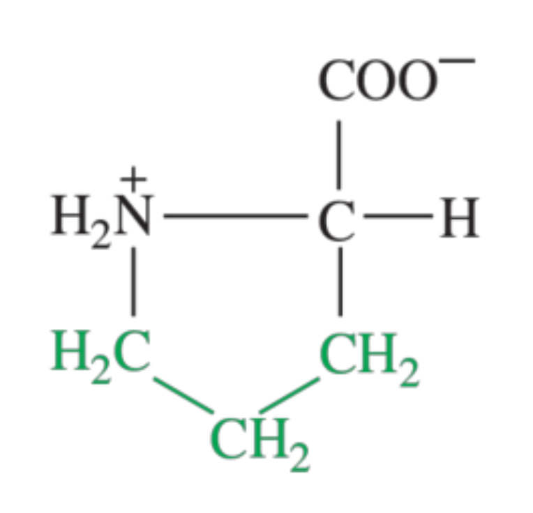 <p>What amino acid is shown in the image?</p>