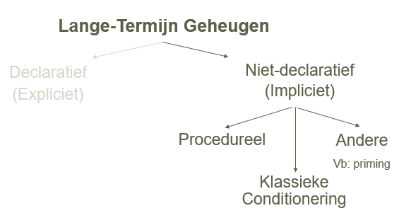 <p>1) <strong>Procedureel geheugen</strong></p><ul><li><p>vaardigheden</p></li><li><p>ontstaan na lange training</p></li><li><p><em>vb. hoe met fiets rijden?</em></p></li></ul><p>2) <strong>Klassieke conditionering</strong></p><p>3) <strong>Andere</strong></p><ul><li><p>vb. priming: iets onbewust onthouden dat invloed heeft op later gedrag/oordeel</p></li></ul><p></p>