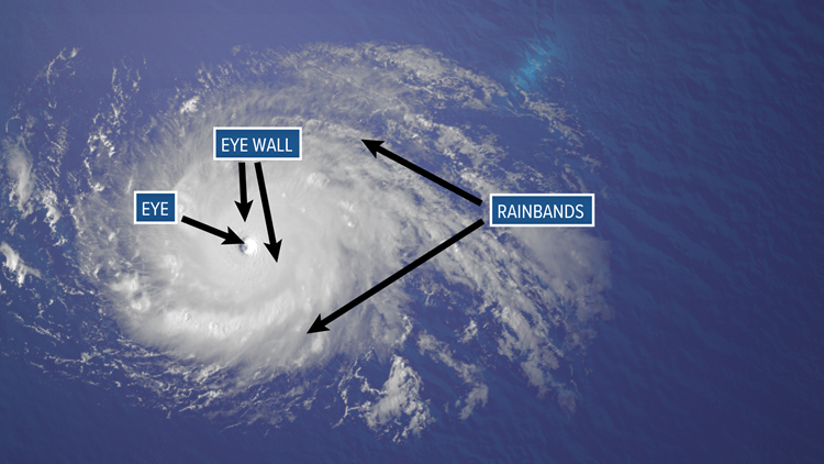 <p><strong>Hurricane Structure</strong></p>