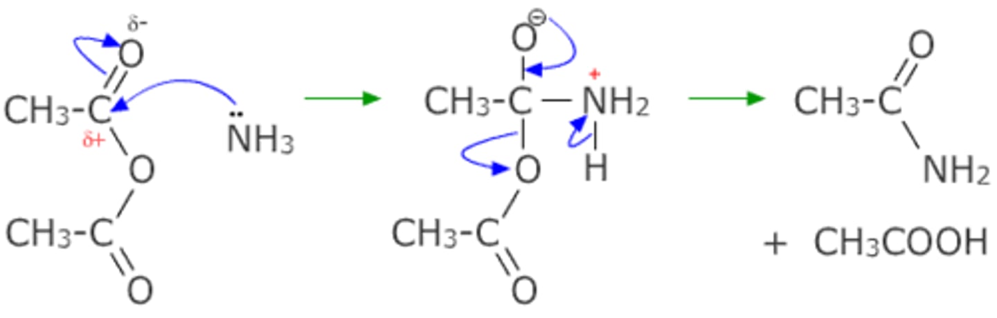 <p>NH3 replaced by CH3NH2</p>