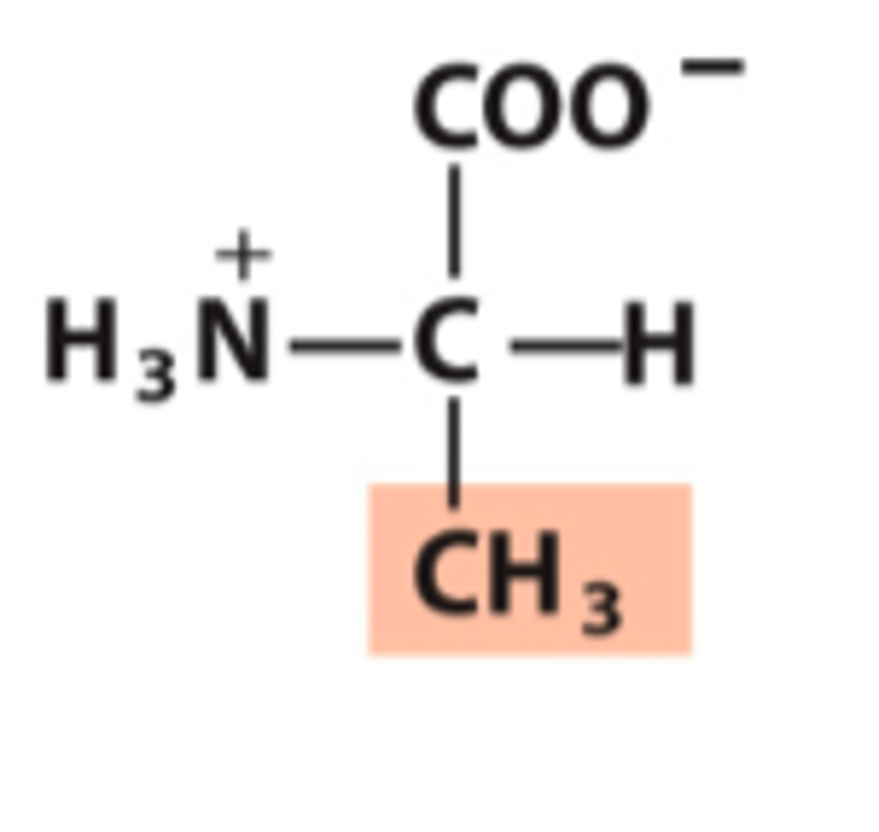 <p>What amino acid is this?</p>