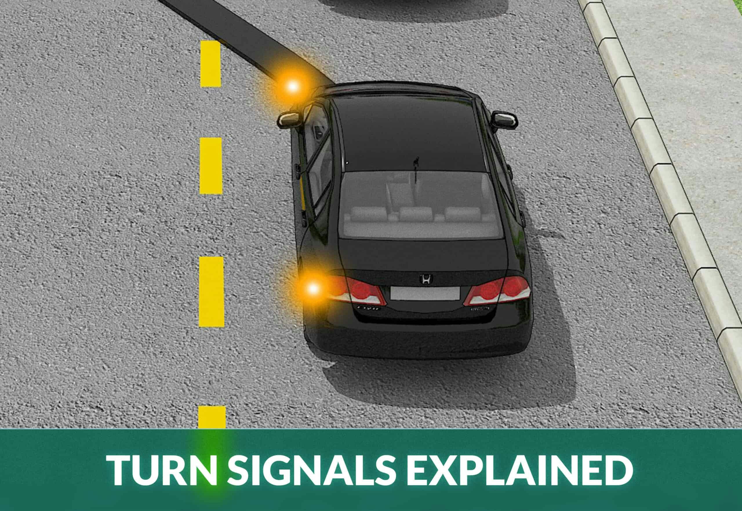 <p>What is the turn signal indicator?</p>
